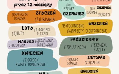 Wprowadzenie do MetodySSP 22/12